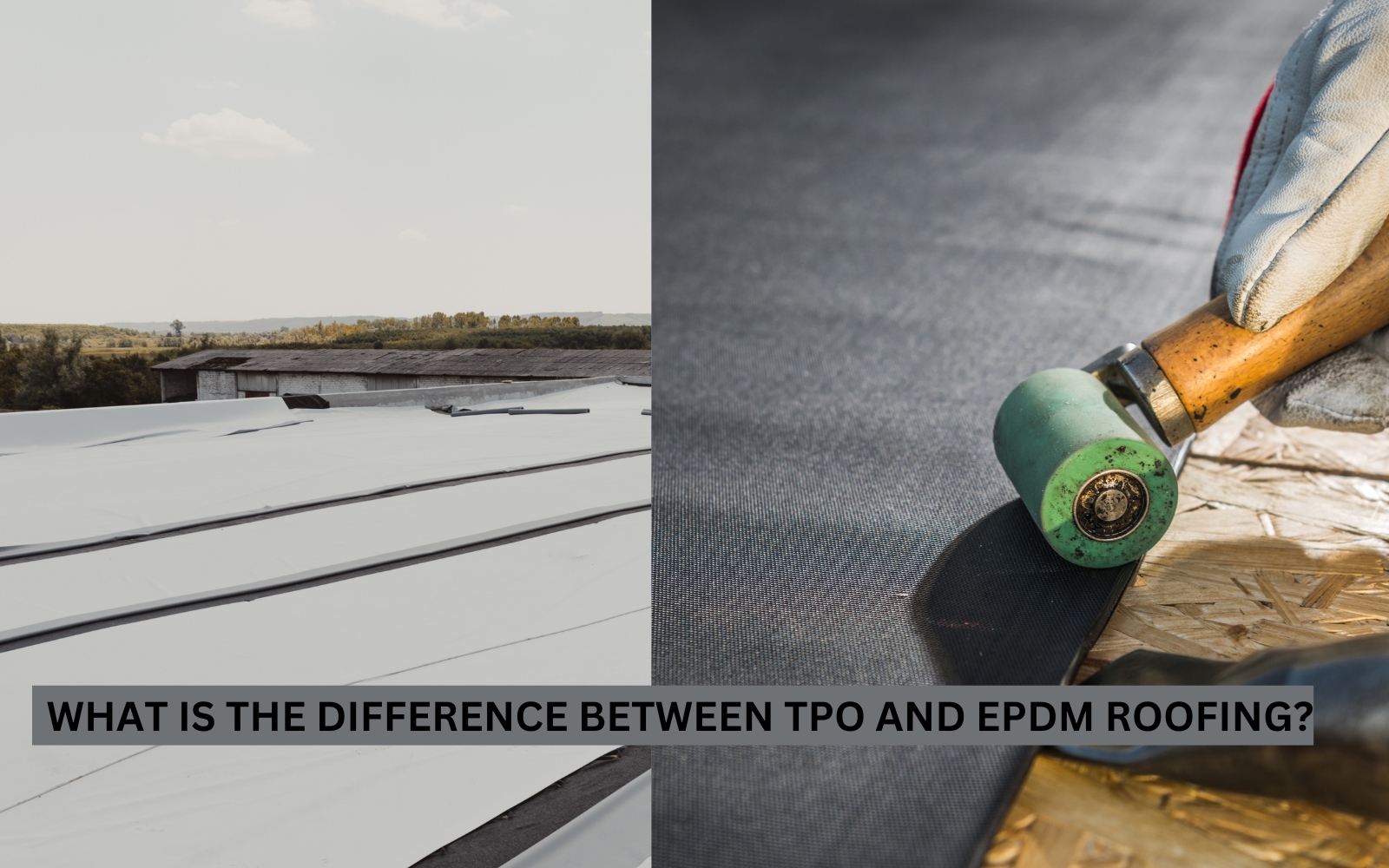 What is the difference between TPO and EPDM roofing?